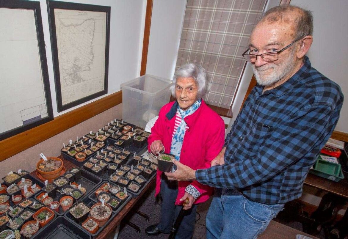 Cacti talk and slide show for Wick and District Gardening Club Cacti talk and slide show for Wick and District Gardening Club