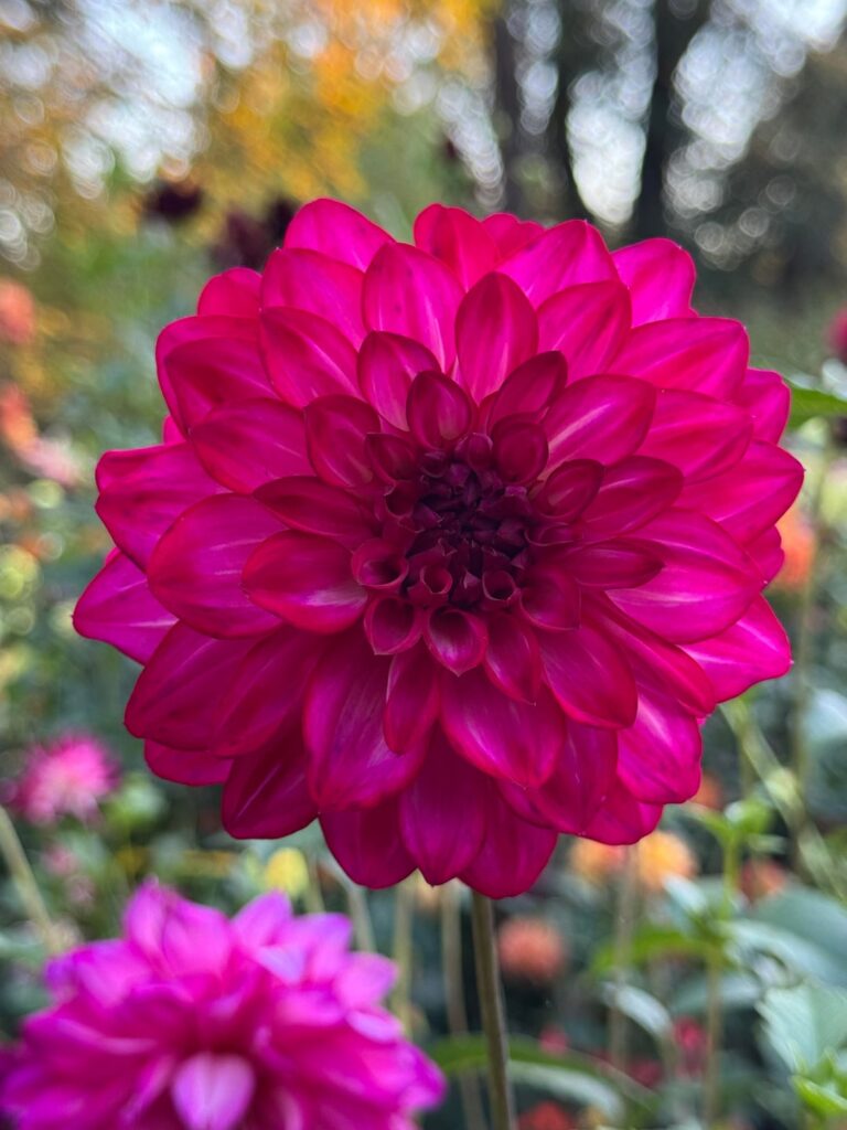 Economical  tuber combo - question