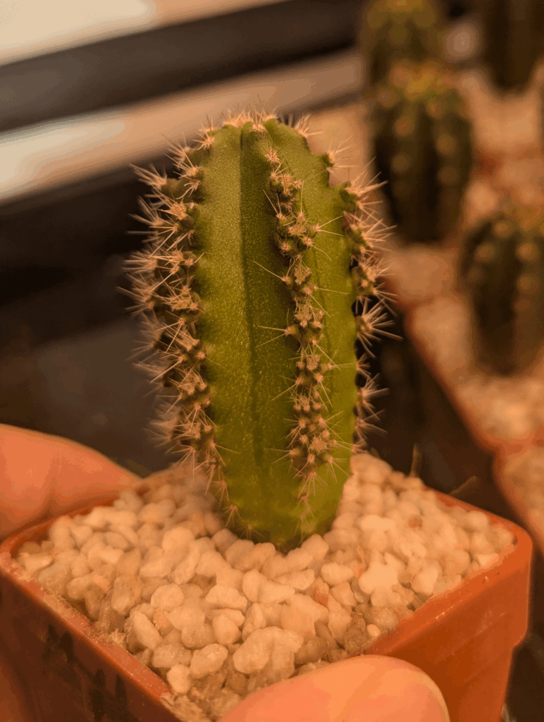 Well this is interesting