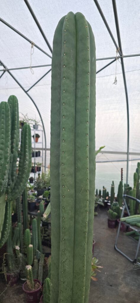 Bring on those chilly nights!