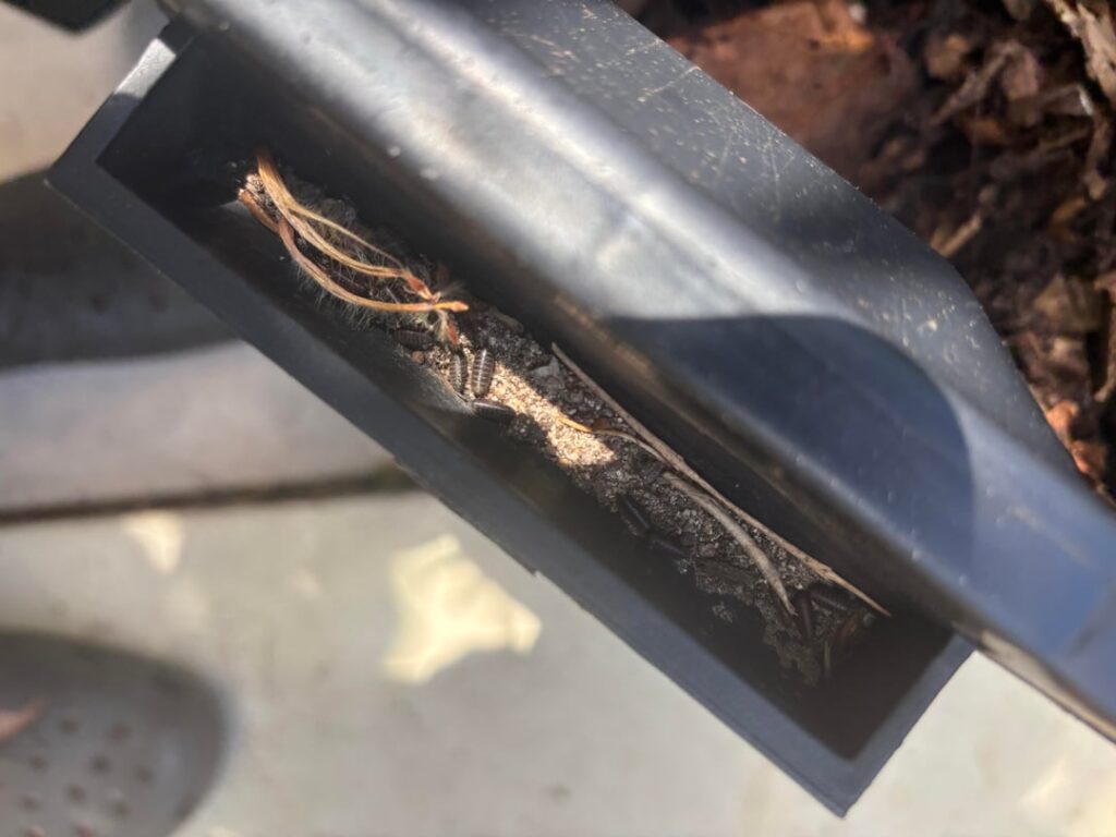 Anyone recognize these guys?