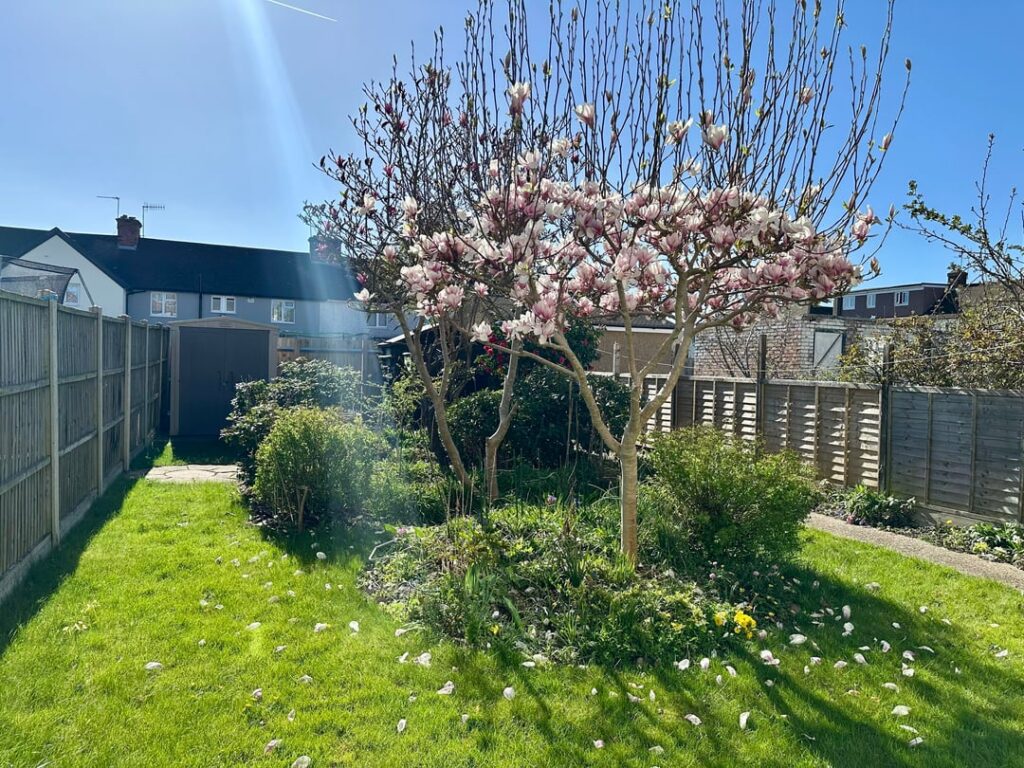 What can I do with this garden ?