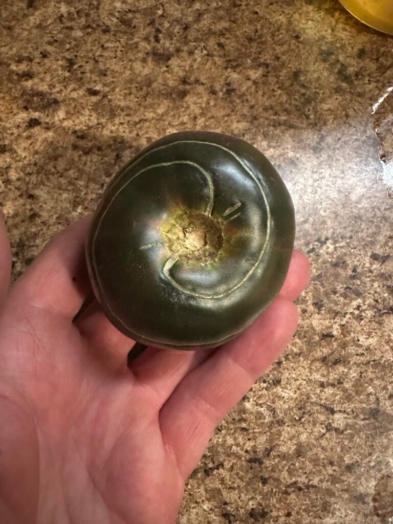 Cherokee Purple with a double spiral.   Very cool.