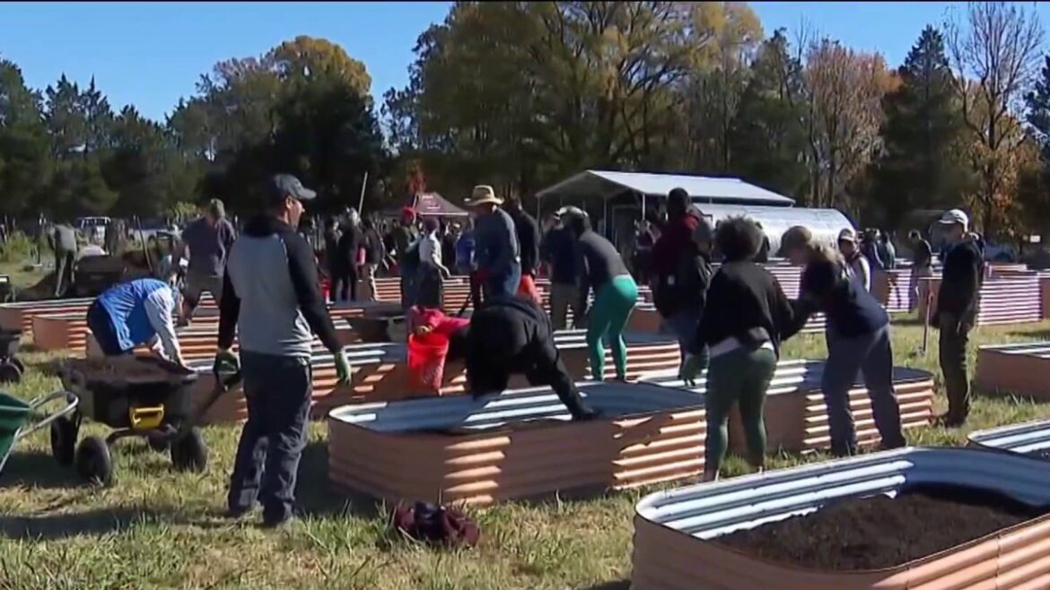 Furloughed workers build garden – NBC4 Washington