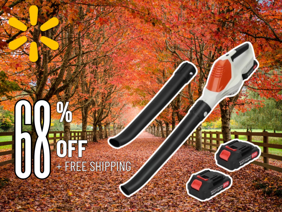 Walmart leaf blower deal features $150 off bestselling, cordless Torio model with free shipping Mostly Sunny
