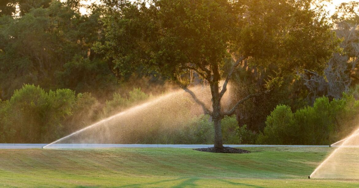Gardeners face $200 fine for tending to their backyards with tradition Gardeners face $200 fine for tending to their backyards with tradition