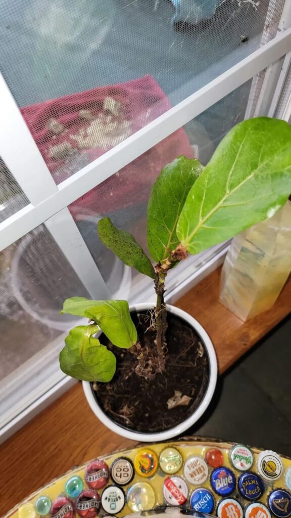 Start vs Now Start vs Now