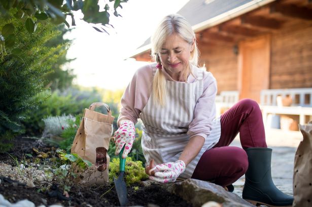 November is a great time to get the garden ready for Spring