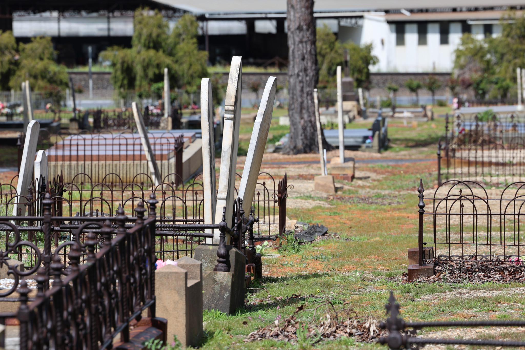 Northern Grampians Shire claims a local undertaker owes it $583,043.