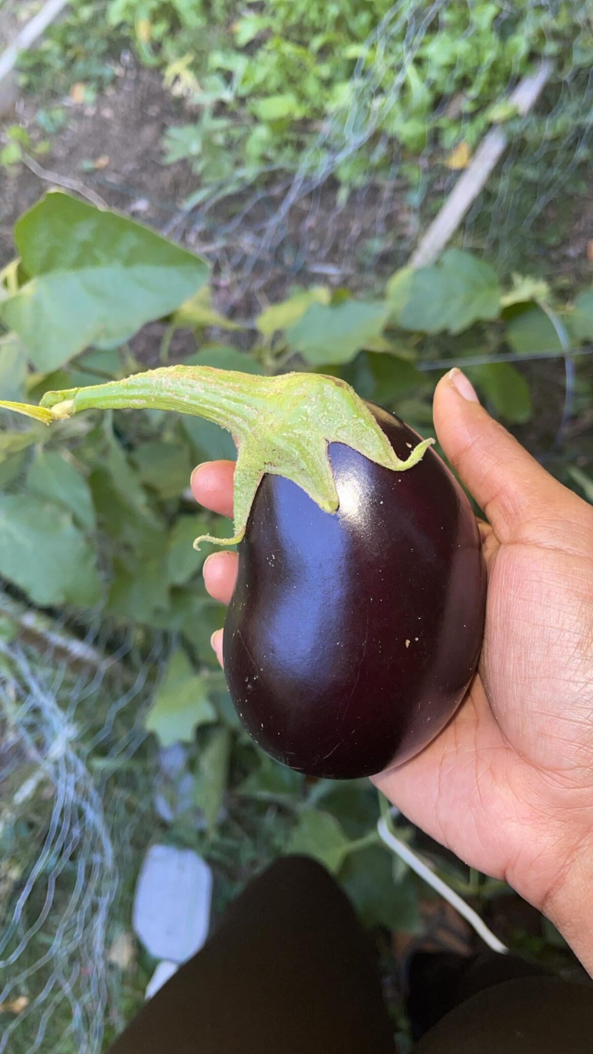 Sadly this is one of the last