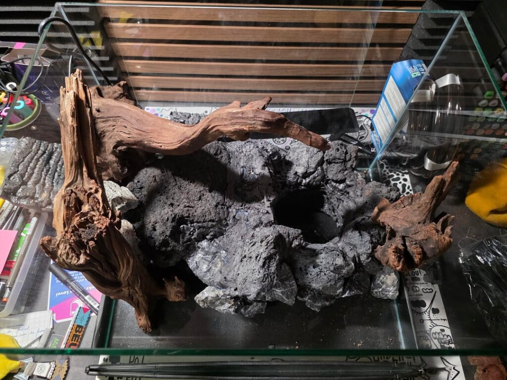 My second paludarium