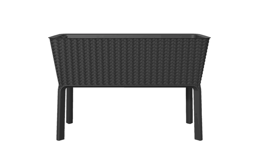 Failed container garden last year what to do this year for success?