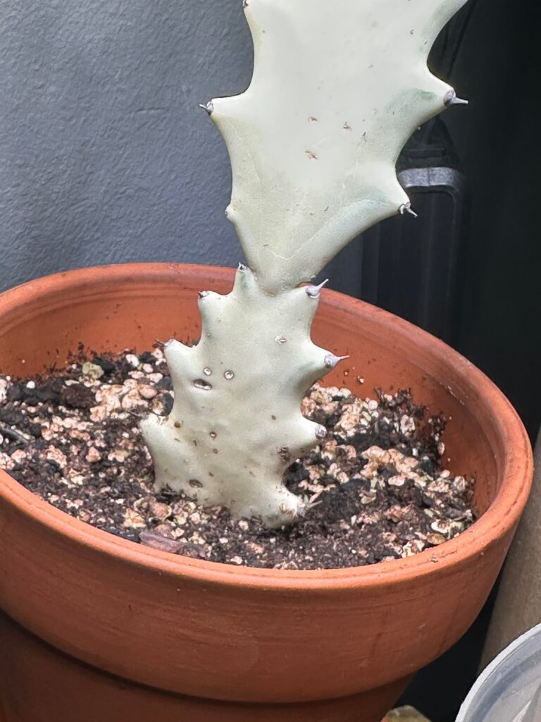I have questions