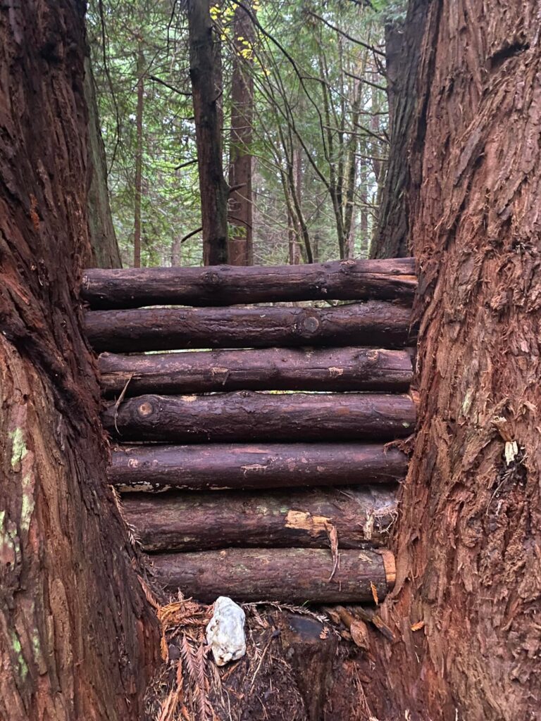 Is this art or functional?