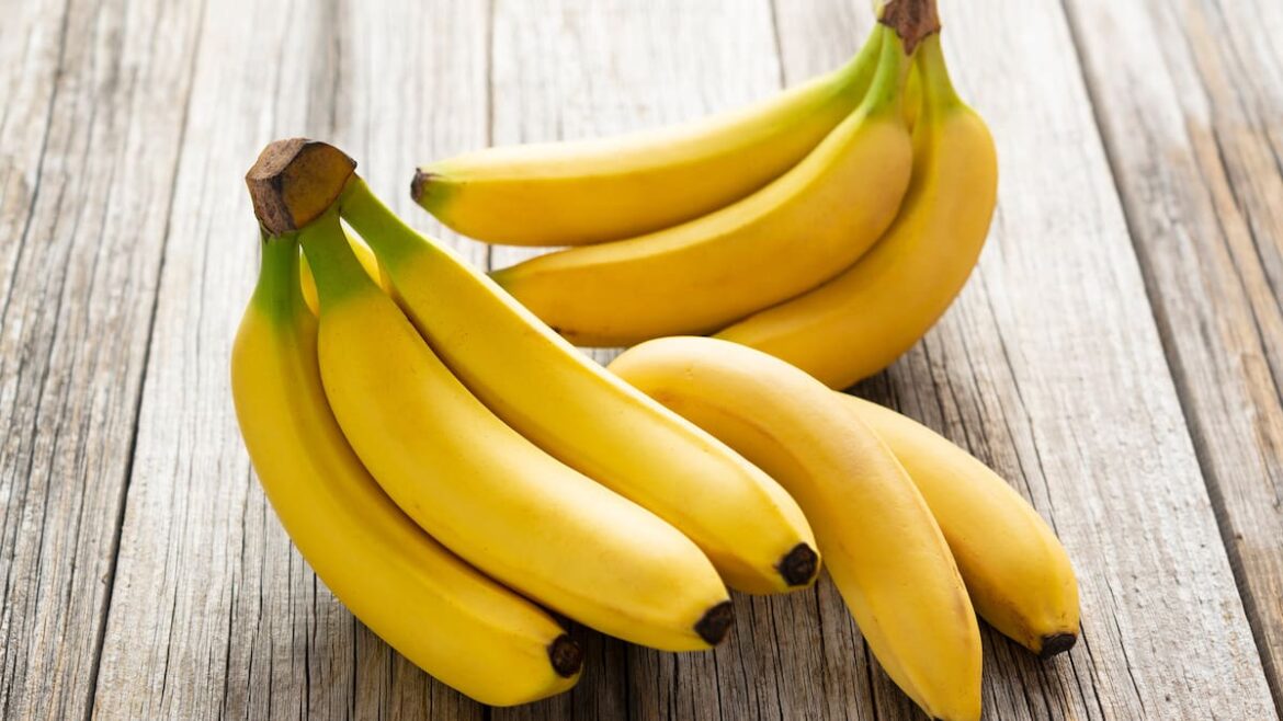 Kem Ormond’s garden: How to grow tropical fruit in cooler climates