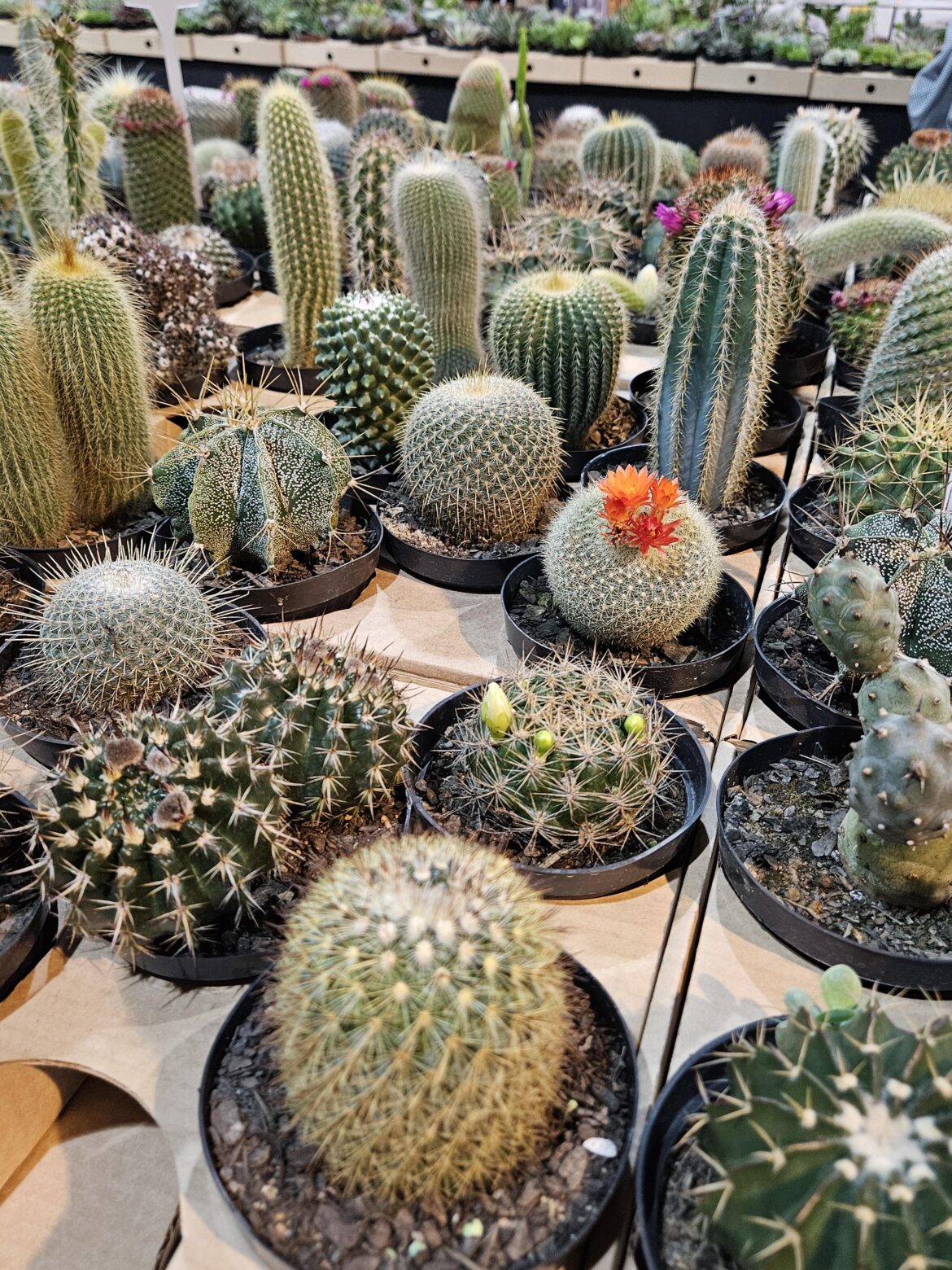 So is paradise like this?