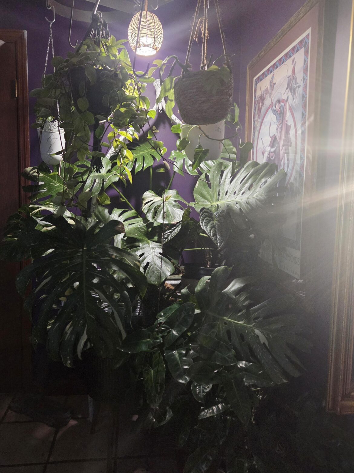 Spent an anxious day prepping for winter