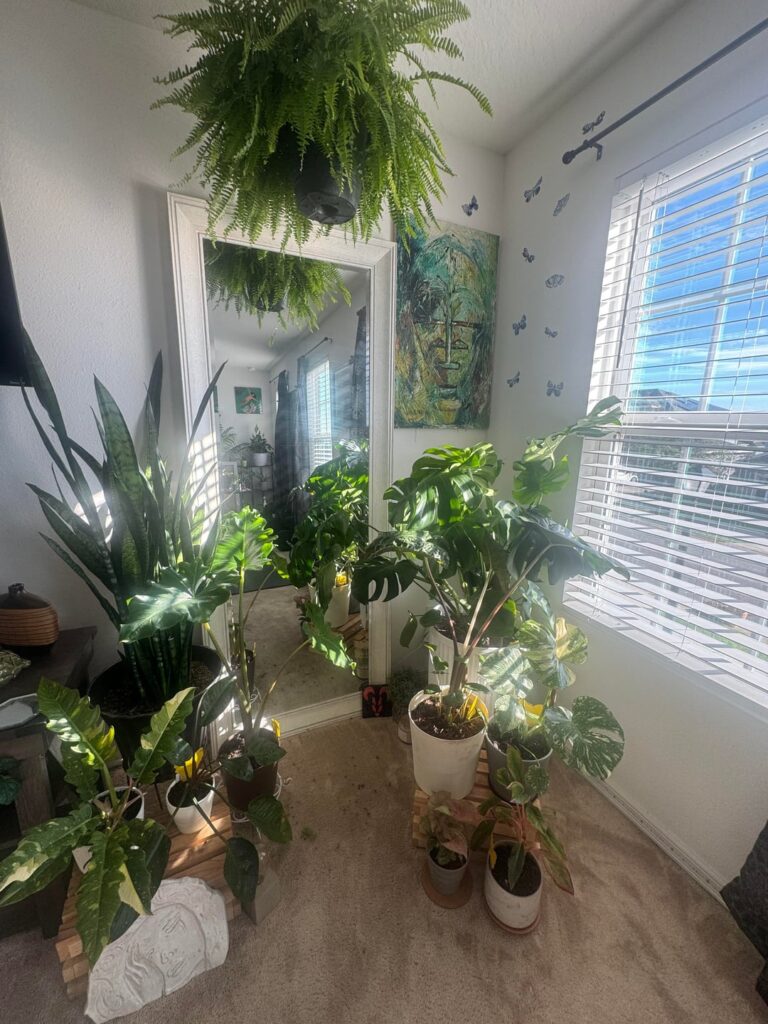 My sanctuary 🙏🏾☀️