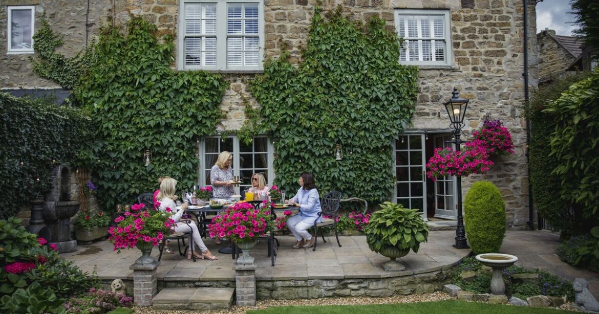 Expert names 7 plants that thrive in wet UK weather