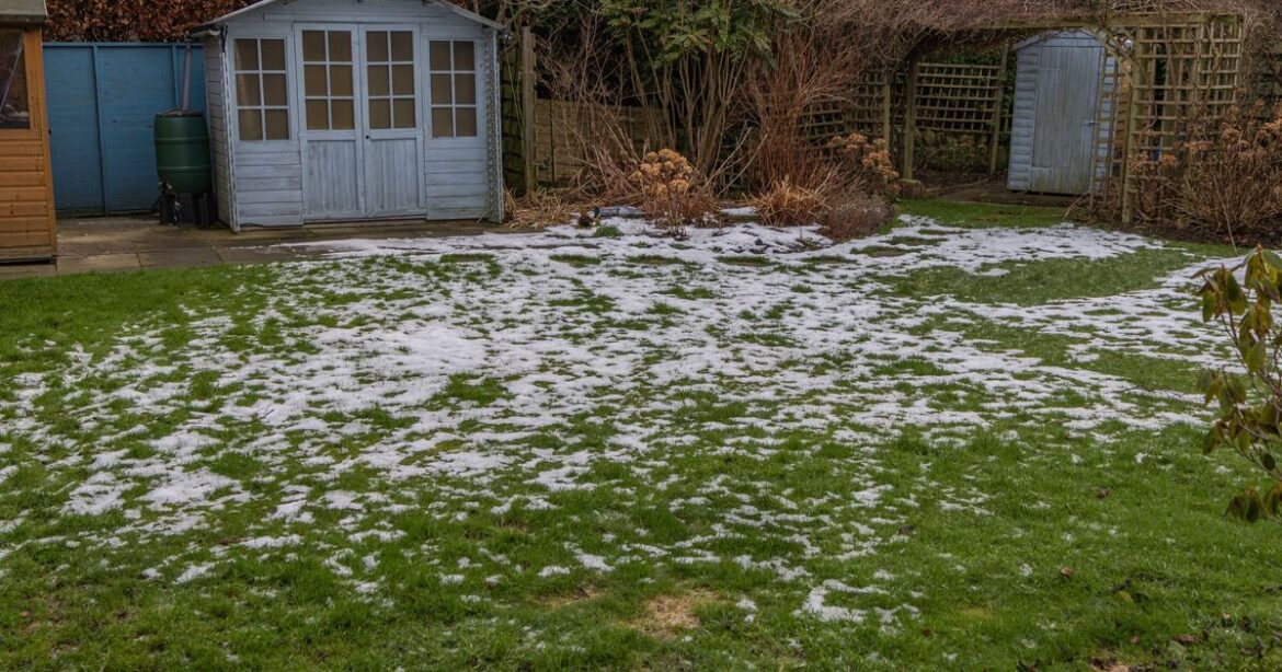 Brits urged to put bubble wrap in gardens in November Brits urged to put bubble wrap in gardens in November