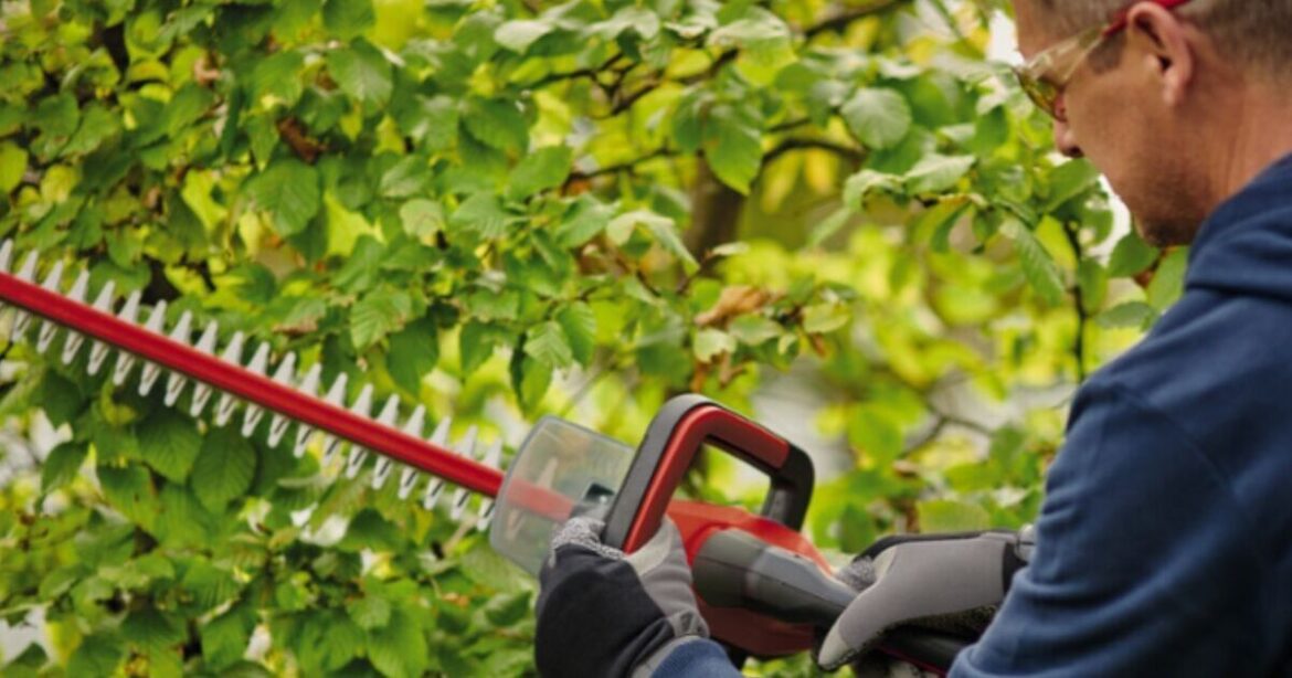 Gardeners praise ‘lightweight’ hedge trimmer that’s up to 28% off Gardeners praise 'lightweight' hedge trimmer that's up to 28% off