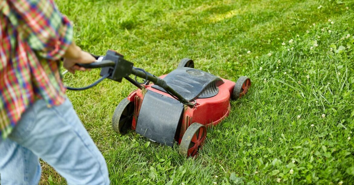 Monty Don shares how to mow lawn properly with 1 simple task