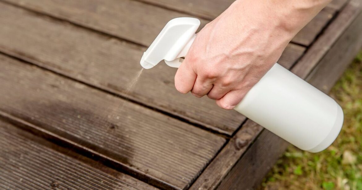Gardeners urged to spray patios with vinegar this November Gardeners urged to spray patios with vinegar this November