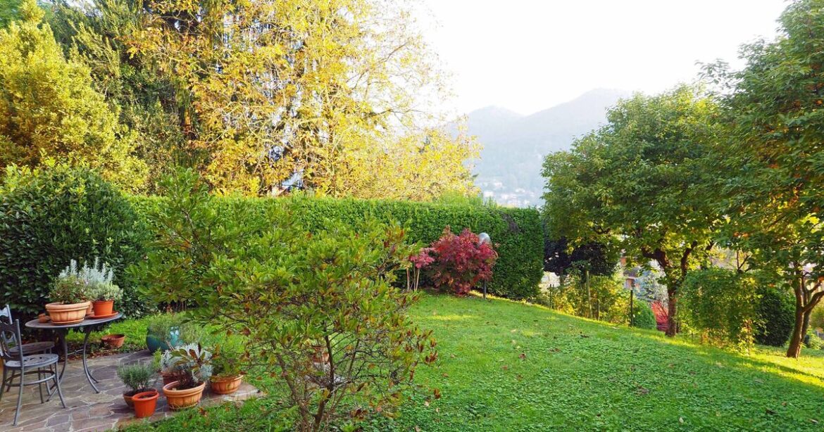 Gardener shares lawn task to do in November to ensure grass 'stays green'