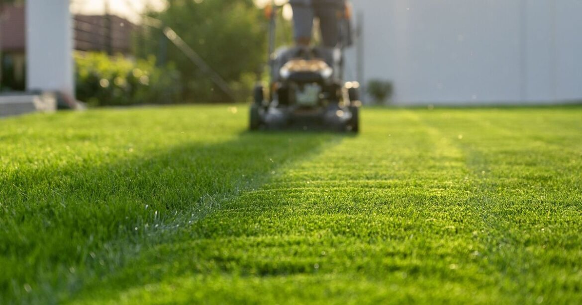 Gardening expert shares list of 7 lawn care tasks to do this winter Gardening expert shares list of 7 lawn care tasks to do this winter