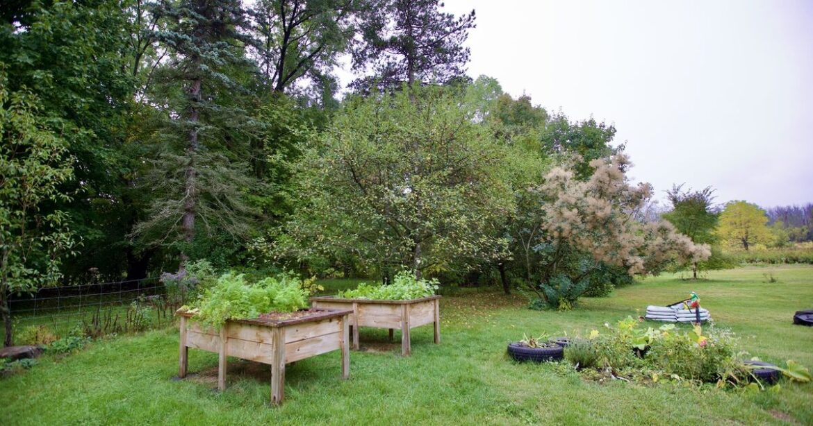 Proud resident films garden and captures something amazing Proud resident films garden and captures something amazing