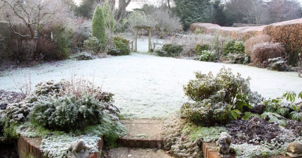 Gardeners urged to add 1 plant to pots before the end of November Gardeners urged to add 1 plant to pots before the end of November