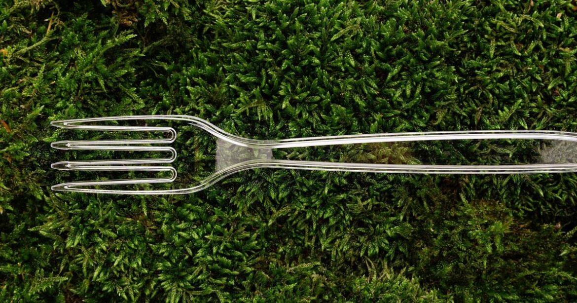 Gardeners urged to place plastic forks in gardens this winter Gardeners urged to place plastic forks in gardens this winter