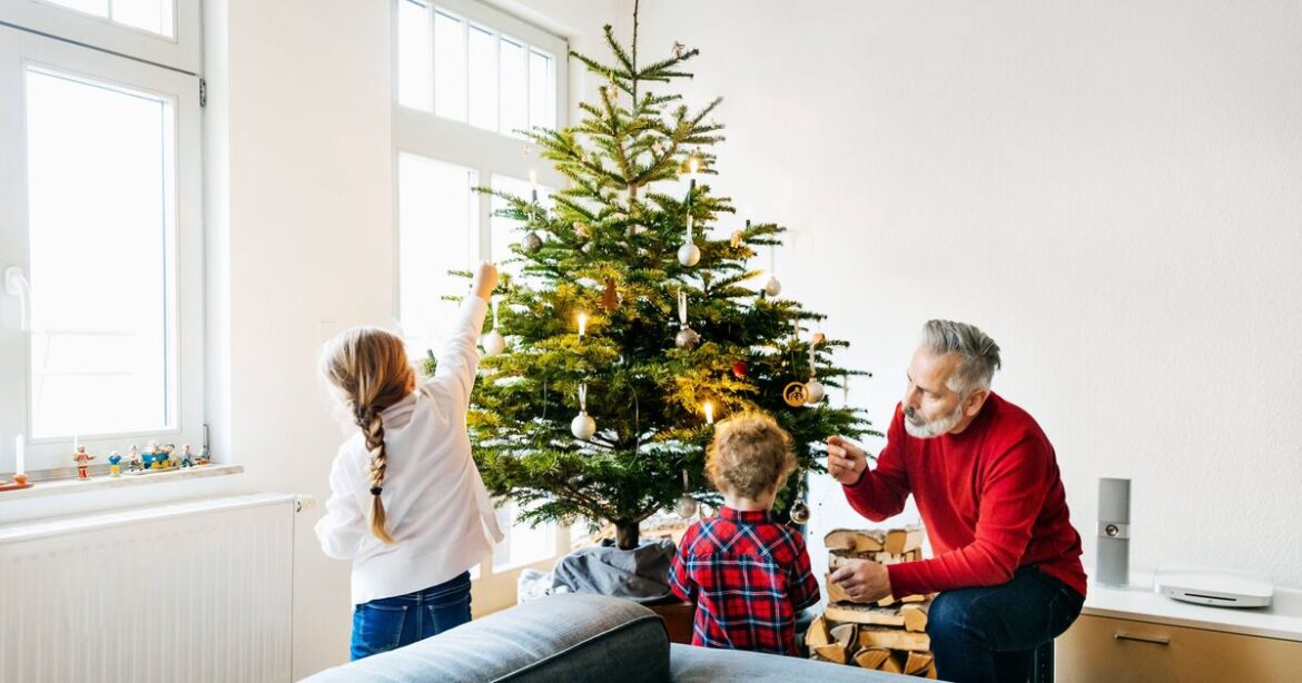 'I was royal gardener and there's one place you should never put Christmas tree'