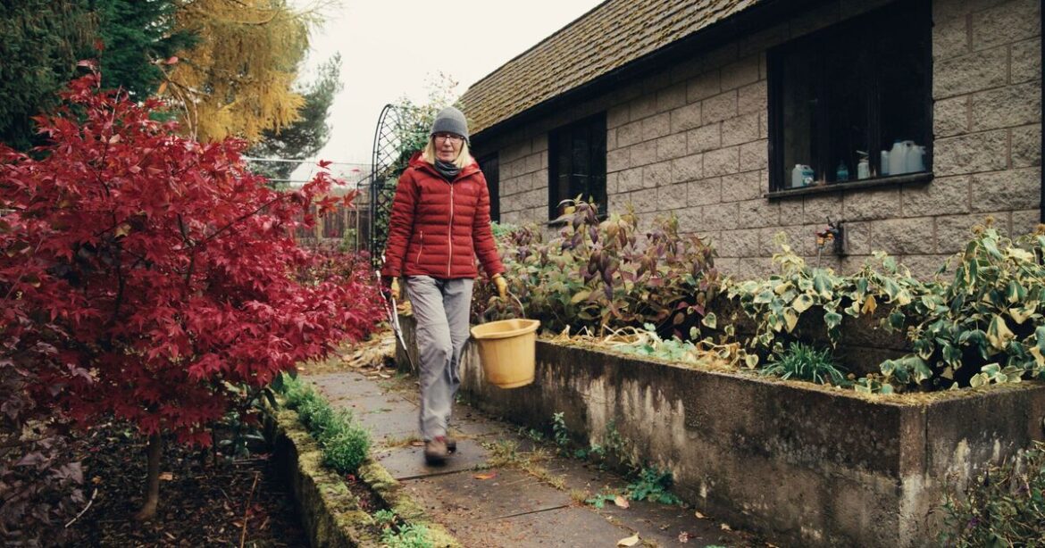 Gardeners urged to cover five plants before winter frost arrives Gardeners urged to cover five plants before winter frost arrives