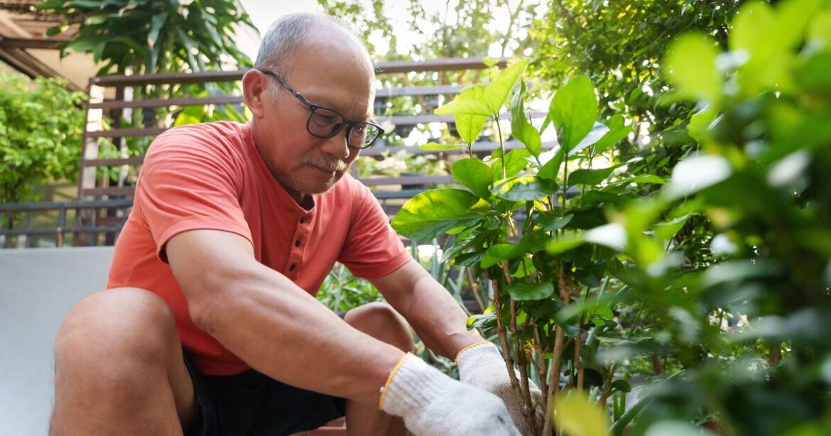Man livid as neighbour takes over his garden with 'invasive' plant