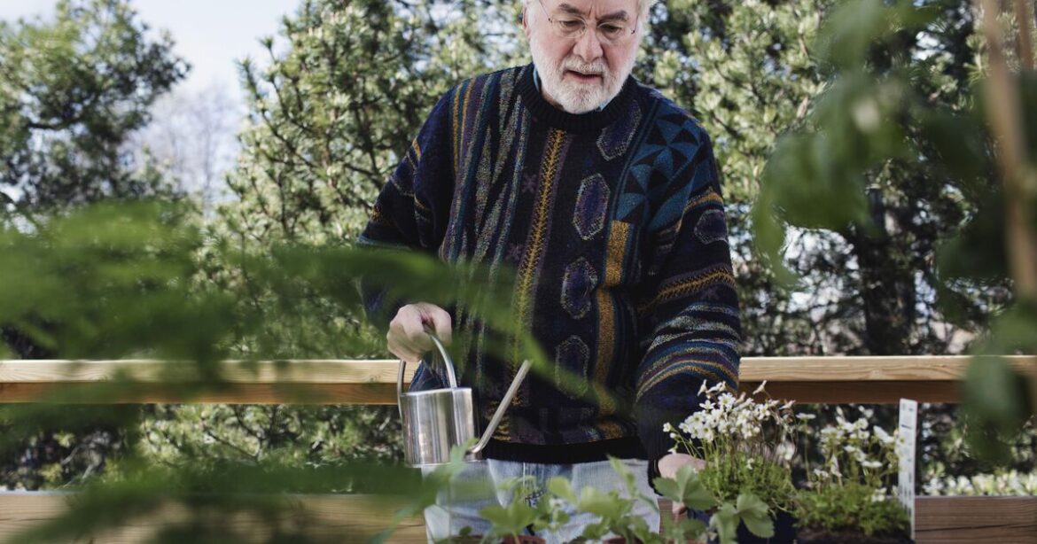 RHS tells Brits vital gardening job will keep plants alive over winter