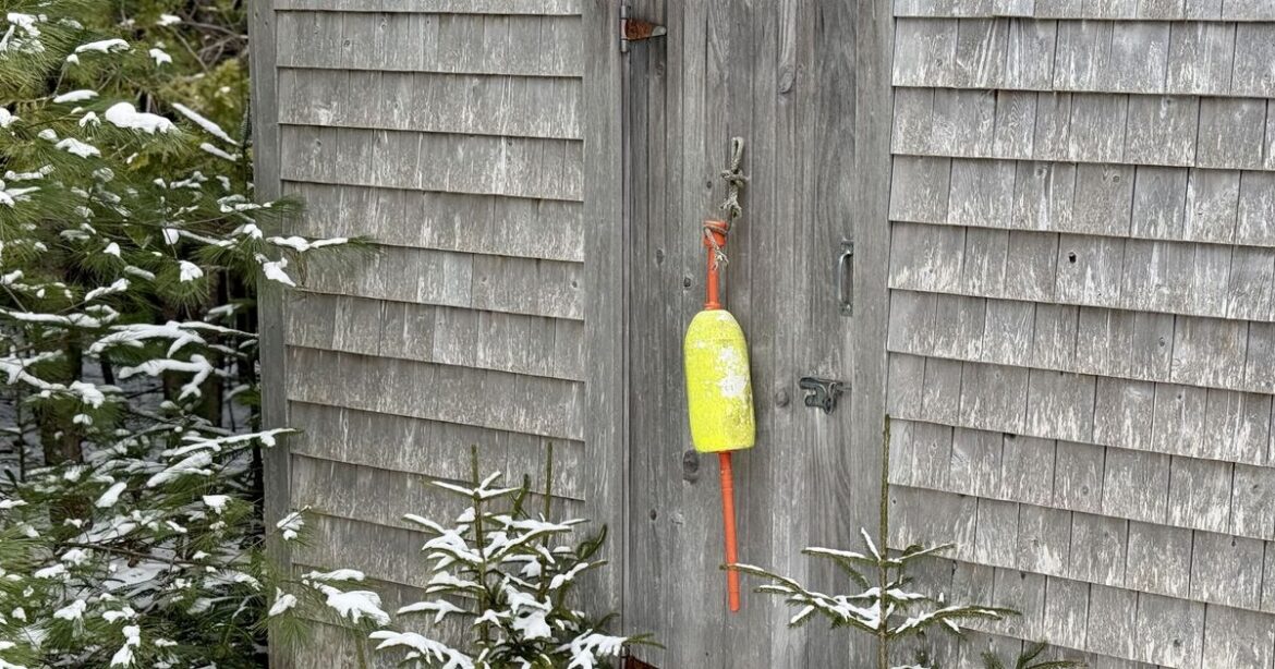 Brits urged to do 1 garden shed job this week