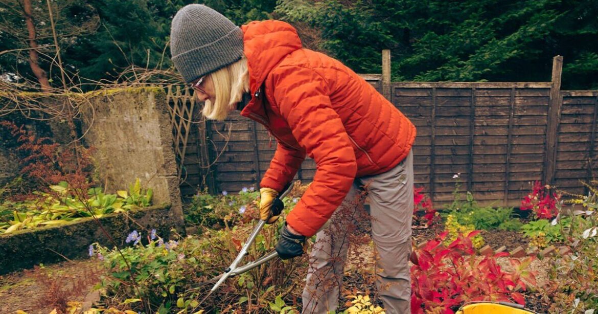 Gardeners urged to do two winter tasks - 'you'll thank yourself' | Personal Finance | Finance