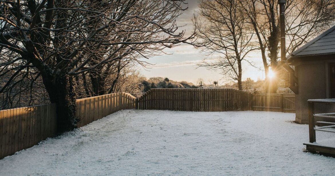 Households with gardens covered in snow or frost issued warning