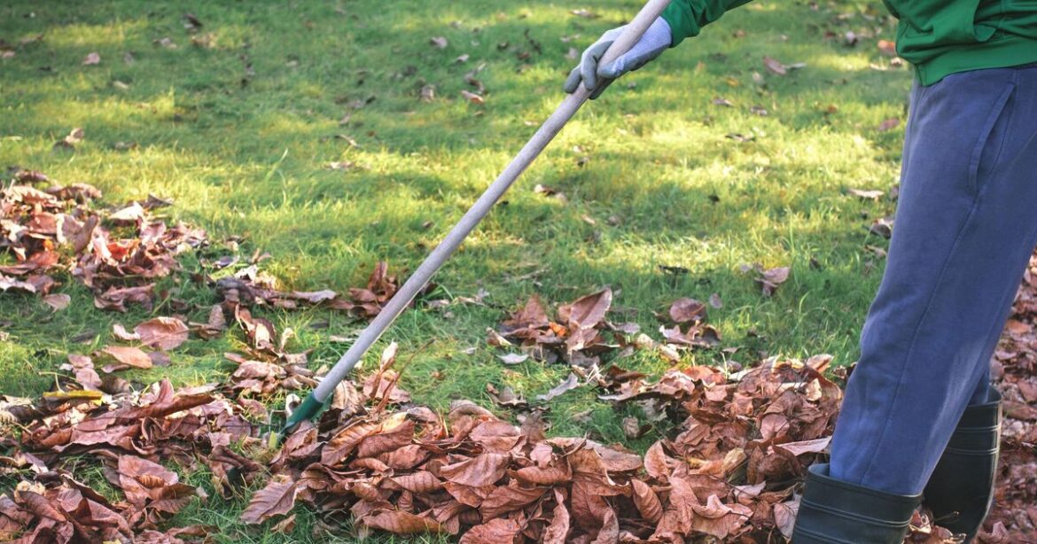 Gardeners warned ‘now is the time’ to get three important jobs done Gardeners warned 'now is the time' to get three important jobs done