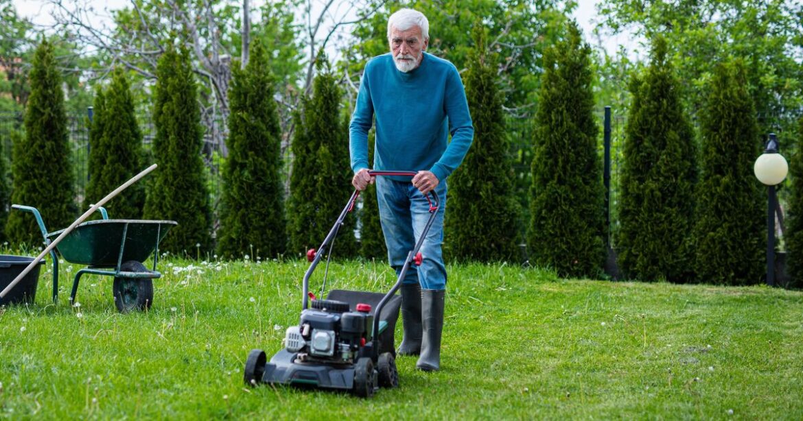 Four ways to protect for your lawn during the colder months | Personal Finance | Finance