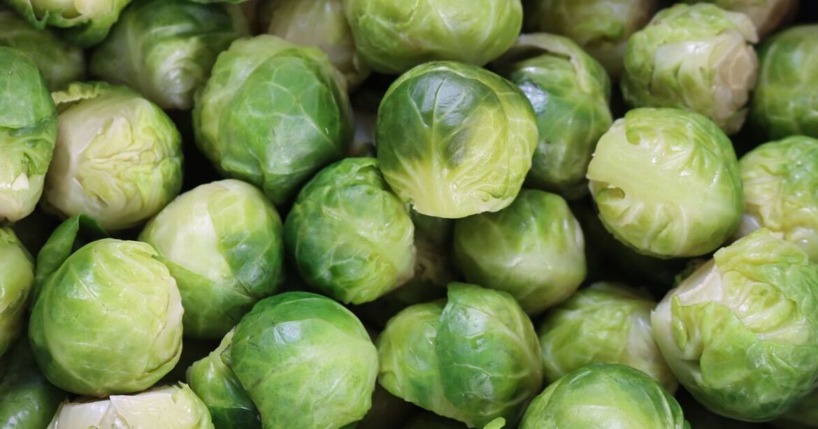 Gardeners issued warning over Brussels sprouts this Christmas