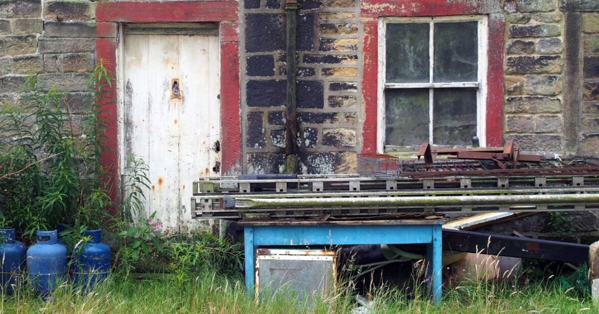 'I found a door in my garden and what was behind it had me speechless' | Weird | News