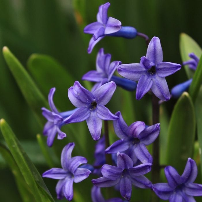 666122101 1 Rhonda Conley Bnb Pc 2024