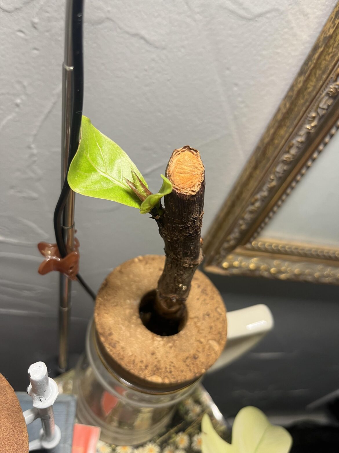 don’t give up on your props!!!