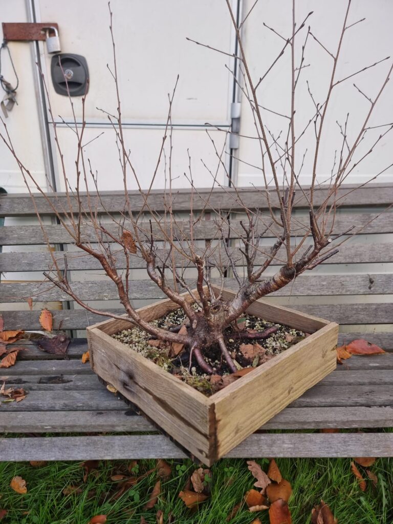 Bit stuck on this one