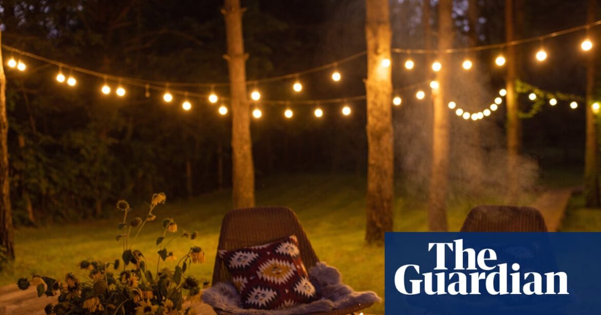 Use firepits and fairy lights to make your Bonfire Night garden party go with a bang | Gardening advice Use firepits and fairy lights to make your Bonfire Night garden party go with a bang | Gardening advice