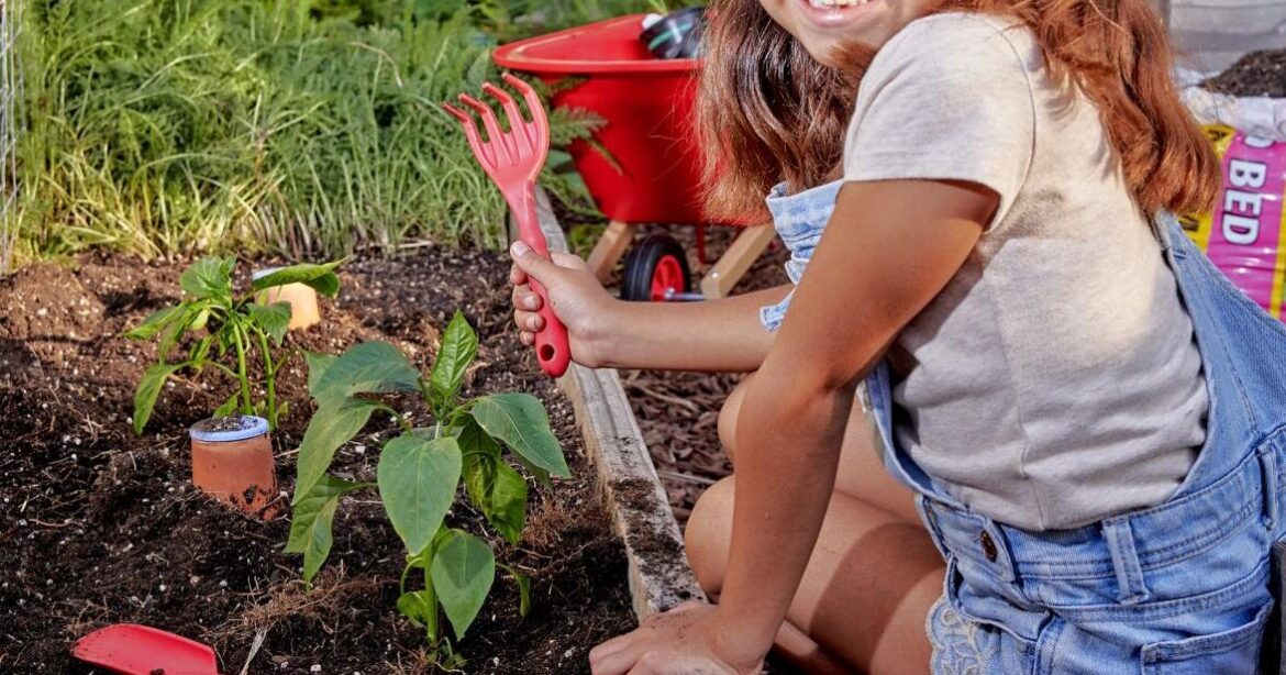 HOME AND GARDEN: Gardening Gifts That Keep Giving | Premium Plus HOME AND GARDEN: Gardening Gifts That Keep Giving | Premium Plus