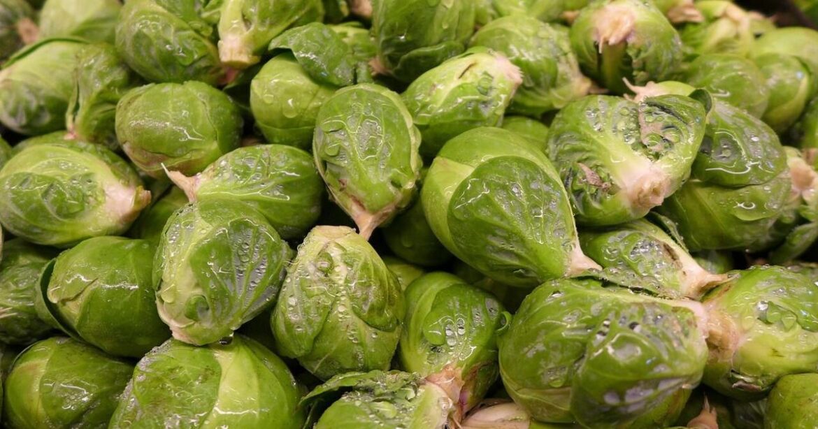These aren't your mother's Brussels sprouts | Master Gardener | Lifestyles