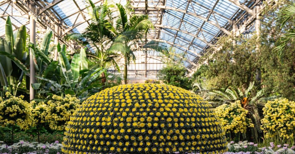 Martha Stewart sees Longwood Gardens Chrysanthemum Festival | Home & Garden